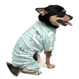 Polar Bear Dog Pajamas