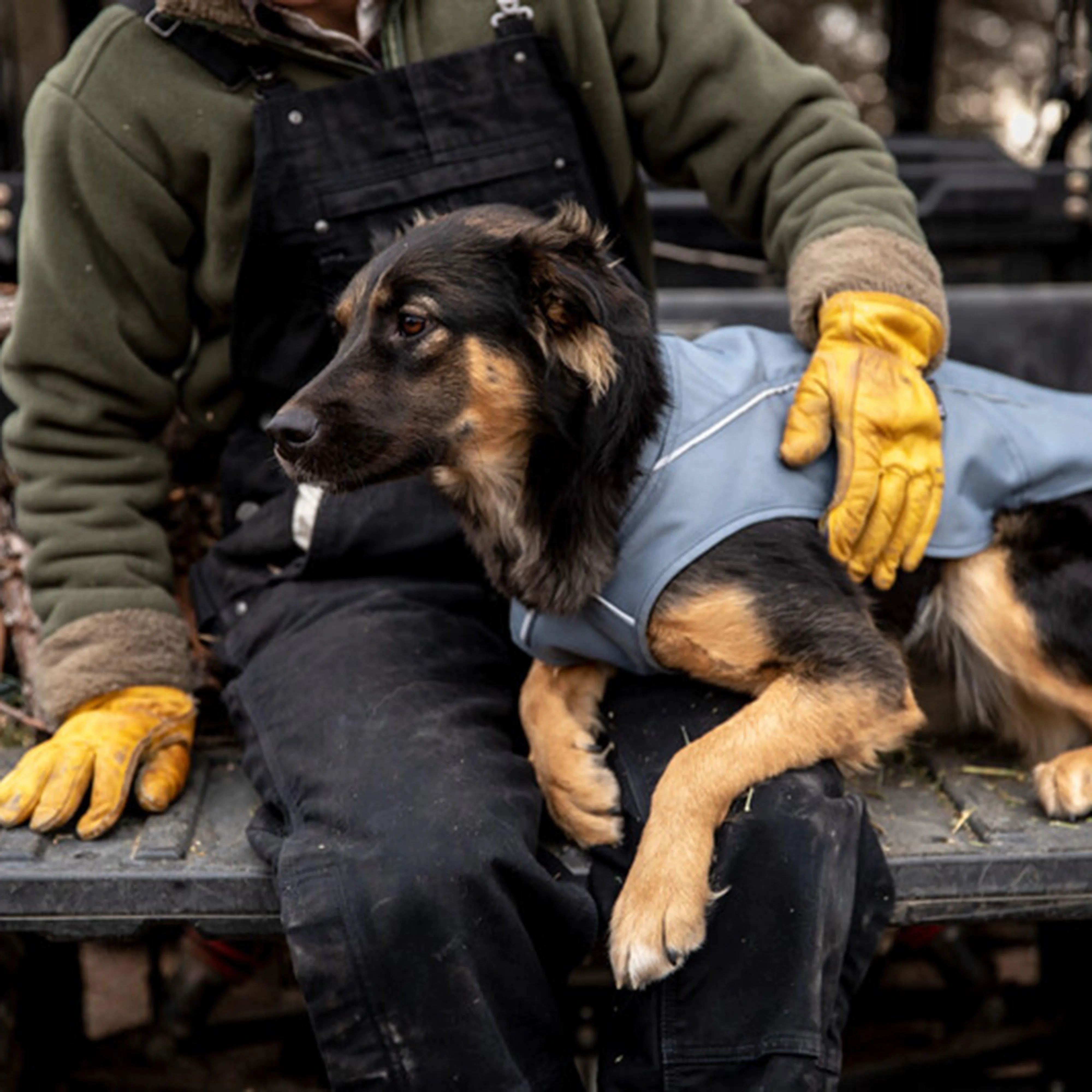 Ruffwear Overcoat Dog Jacket | Ultimate Outdoors