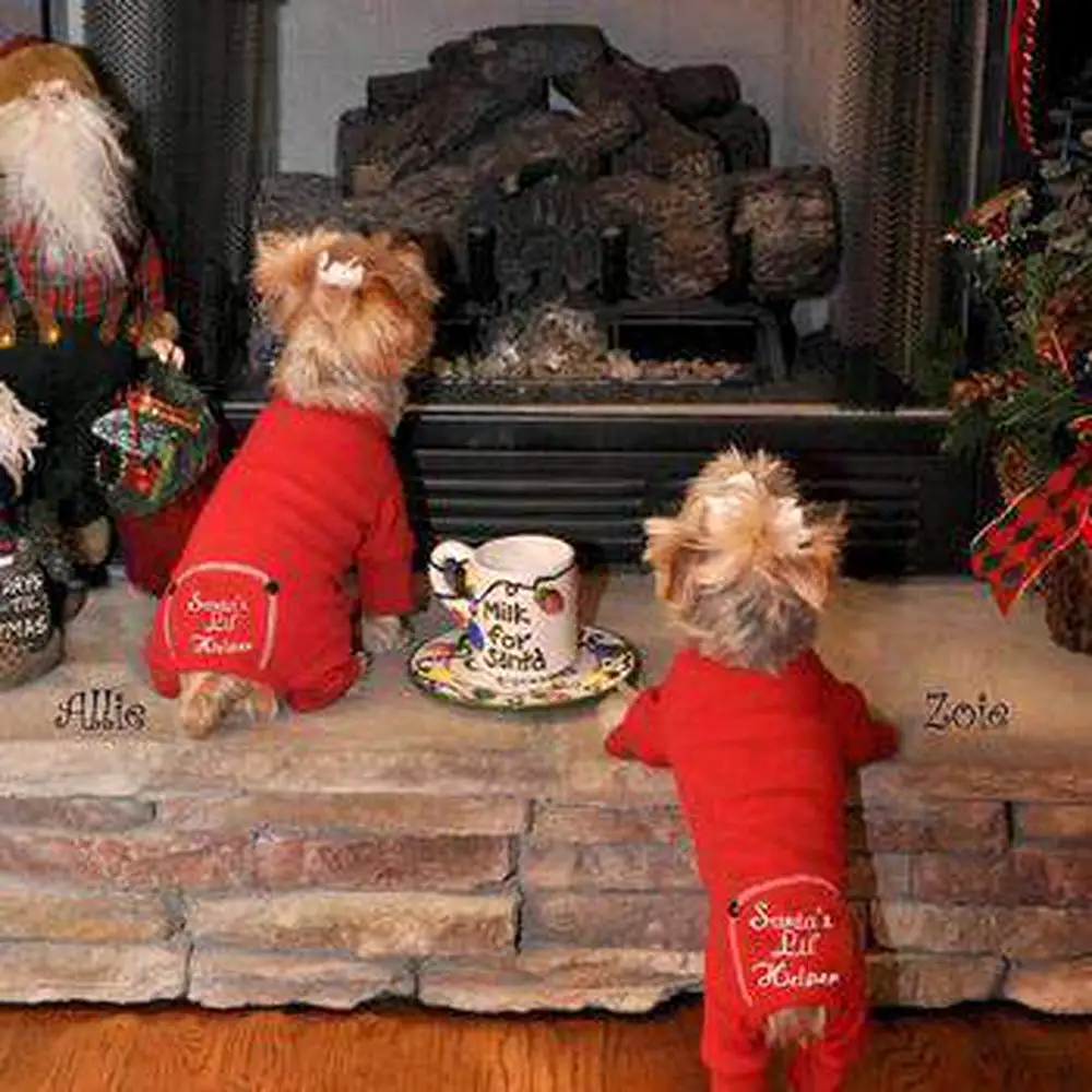 Santa's Lil Helper Dog Pajamas