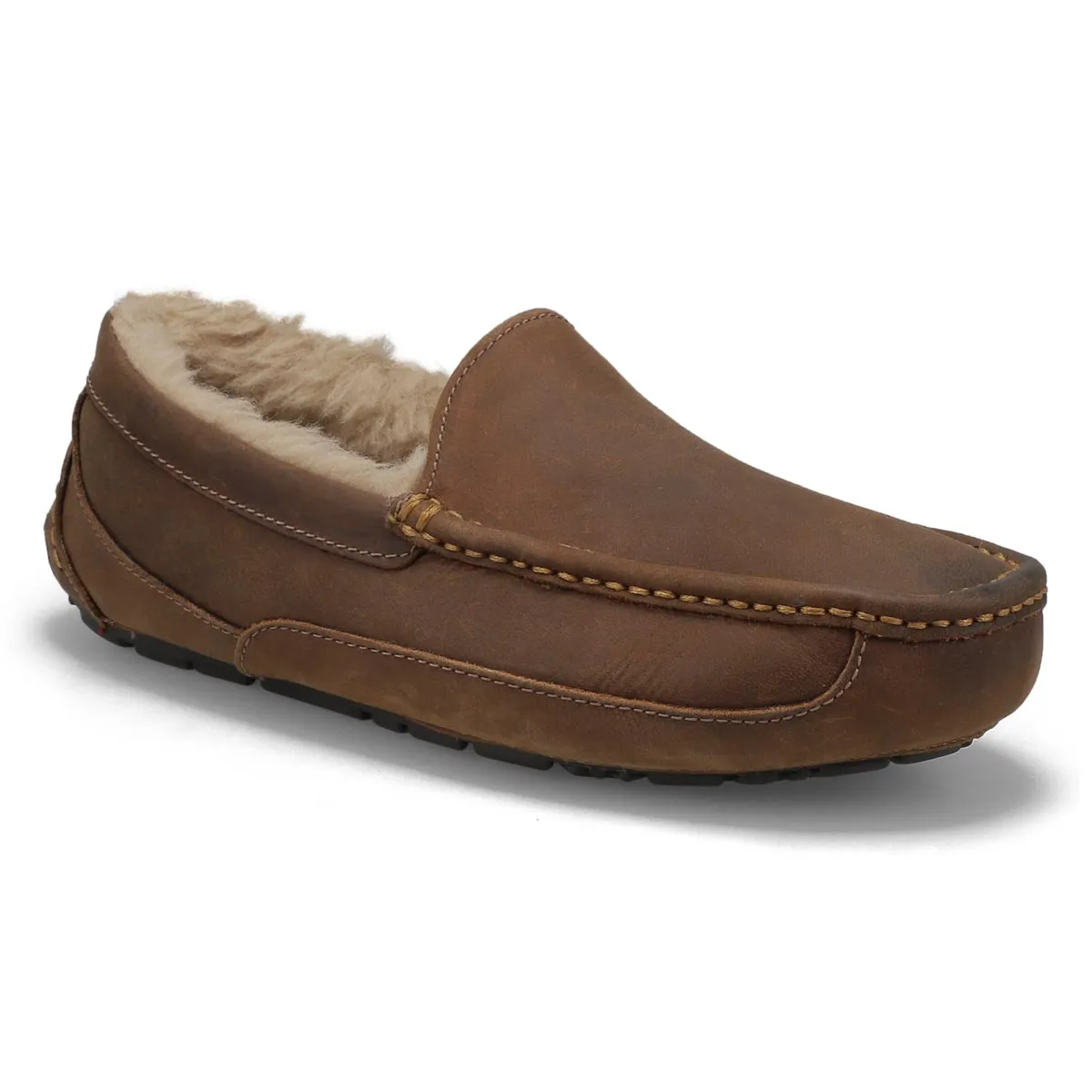 UGG  Ascot Men